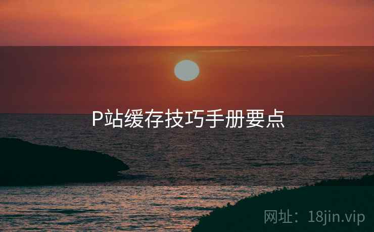 P站缓存技巧手册要点