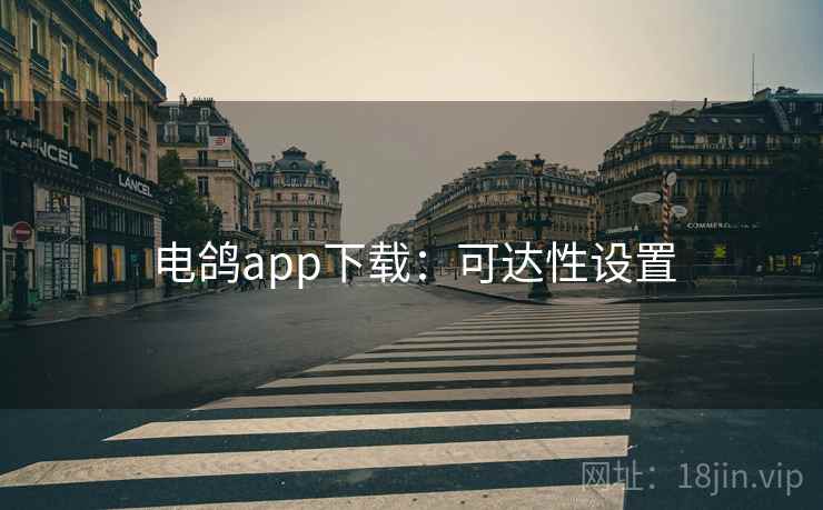 电鸽app下载：可达性设置