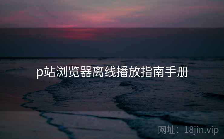 p站浏览器离线播放指南手册 p站浏览器离线播放指南手册
