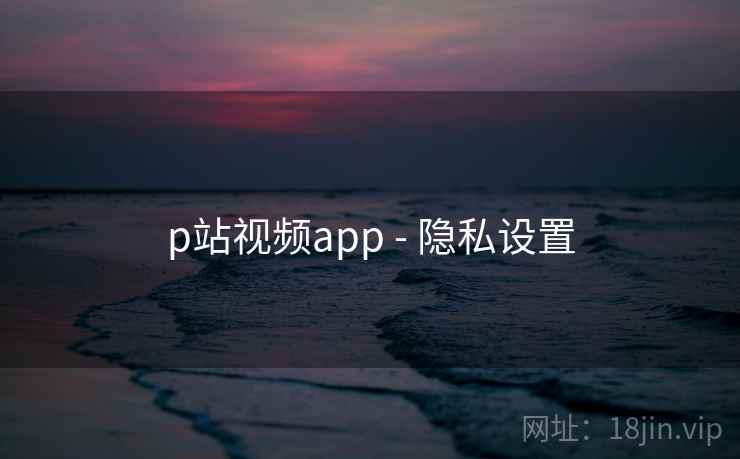 p站视频app - 隐私设置