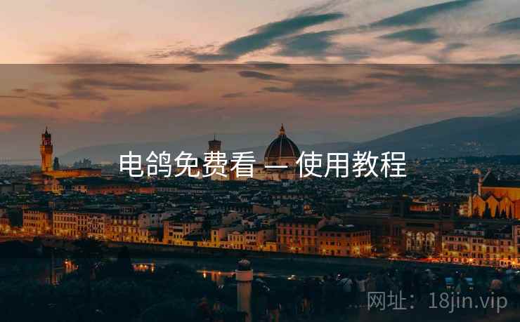 电鸽免费看 — 使用教程 电鸽免费看 — 使用教程