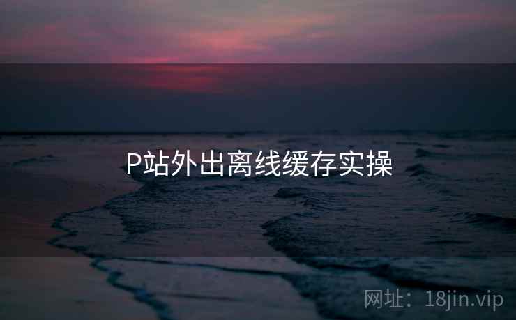 P站外出离线缓存实操