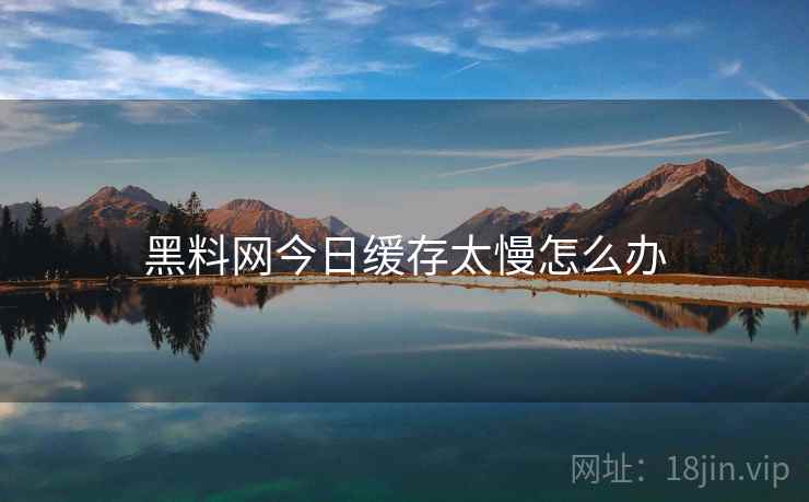 黑料网今日缓存太慢怎么办